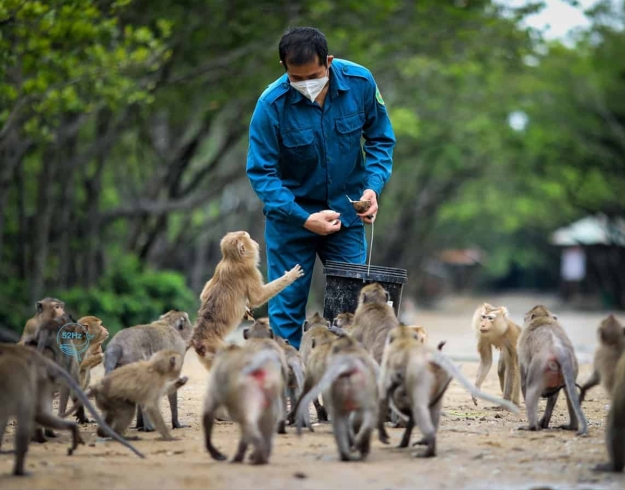 11 địa điểm du lịch Cần Giờ đẹp, hấp dẫn, tha hồ 'check-in'