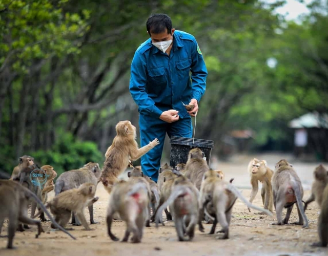 11 địa điểm du lịch Cần Giờ đẹp, hấp dẫn, tha hồ 'check-in'